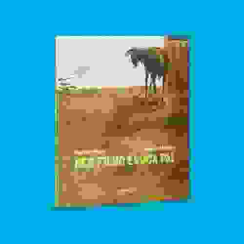 Capa Nem filho Educa Pai