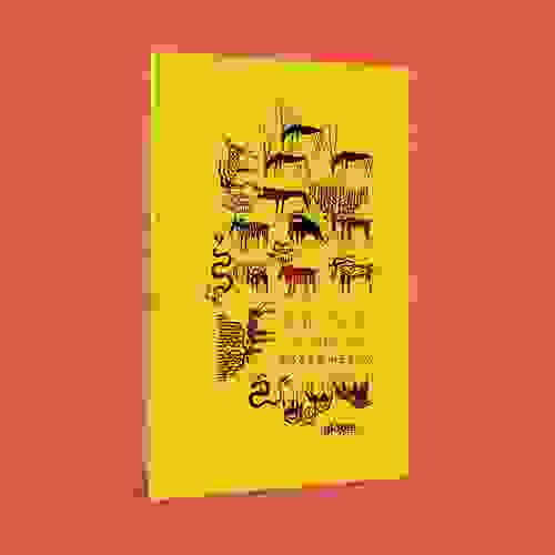 Capa - Griso o único