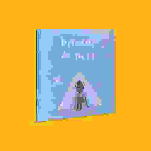 Capa Brincar de livro