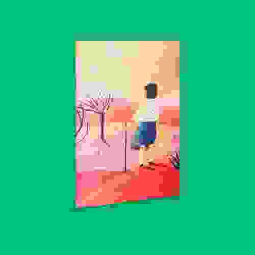 Capa Irreversível