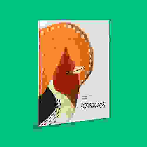 Capa Pássaros