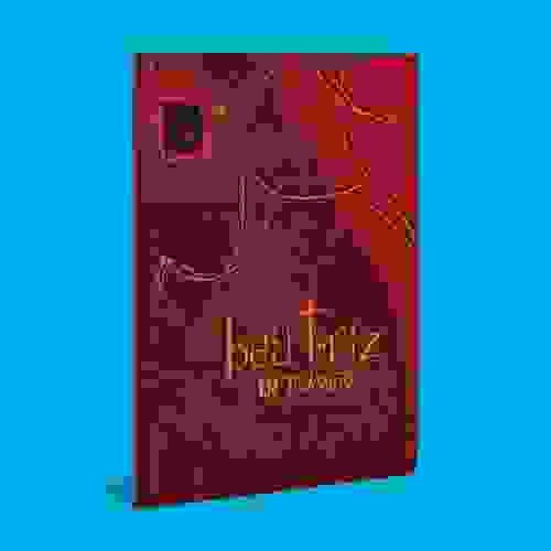Capa do livro Beatriz em trânsito