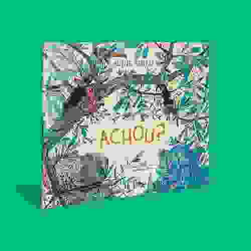 Achou Capa 3D