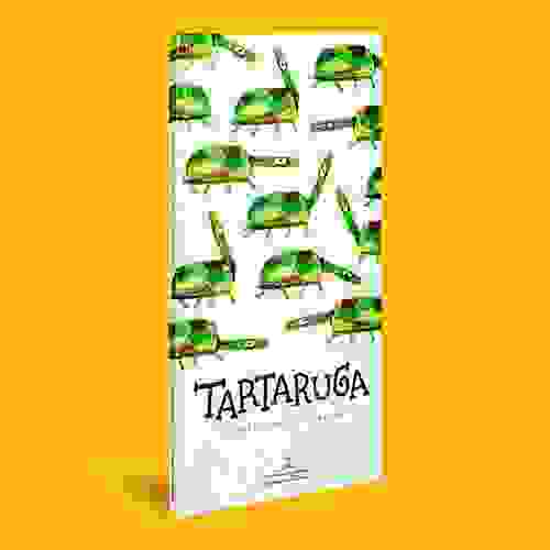 Tartaruga_Capa3D