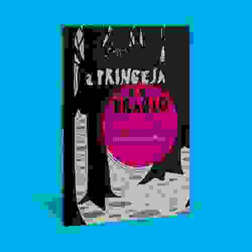 A princesa e o Dragão Capa 3D