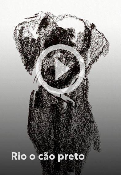 Assista o web story do livro Rio, o cão preto