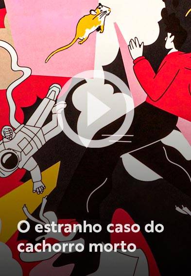 Assista o web story do livro O estranho caso do cachorro morto
