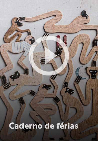 Assista o web story do livro Caderno de férias