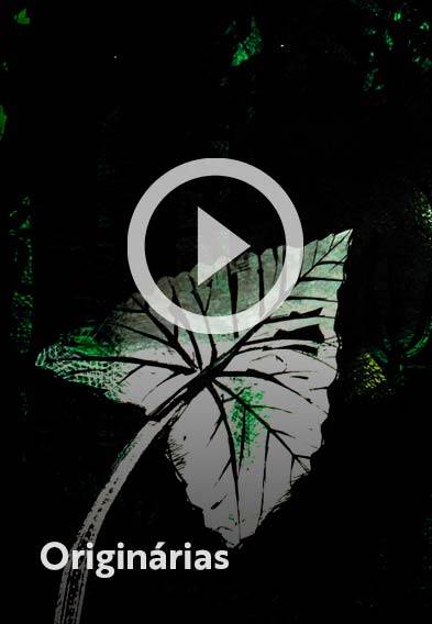 Assista o web story do livro Originárias: Uma antologia feminina de literatura indígena