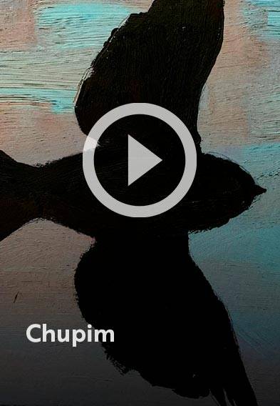 Assista o web story do livro Chupim