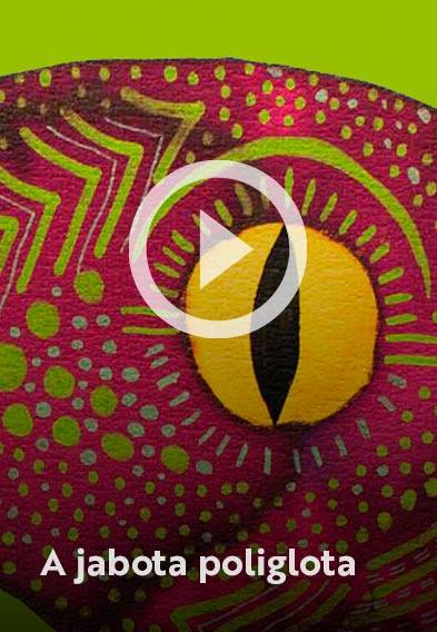 Assista o web story do livro A jabota poliglota