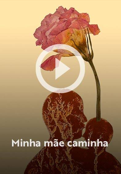 Assista o web story do livro Minha mãe caminha