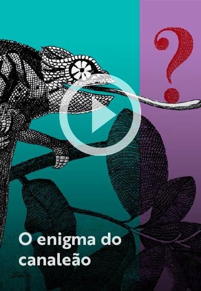 Assista o web story do livro O enigma do camaleão