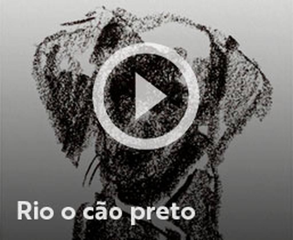 Assista o web story do livro Rio, o cão preto