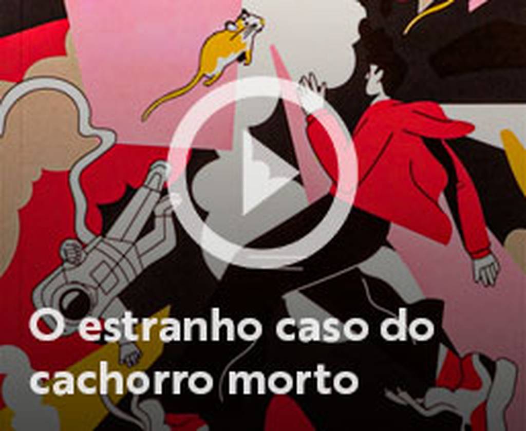 Assista o web story do livro O estranho caso do cachorro morto