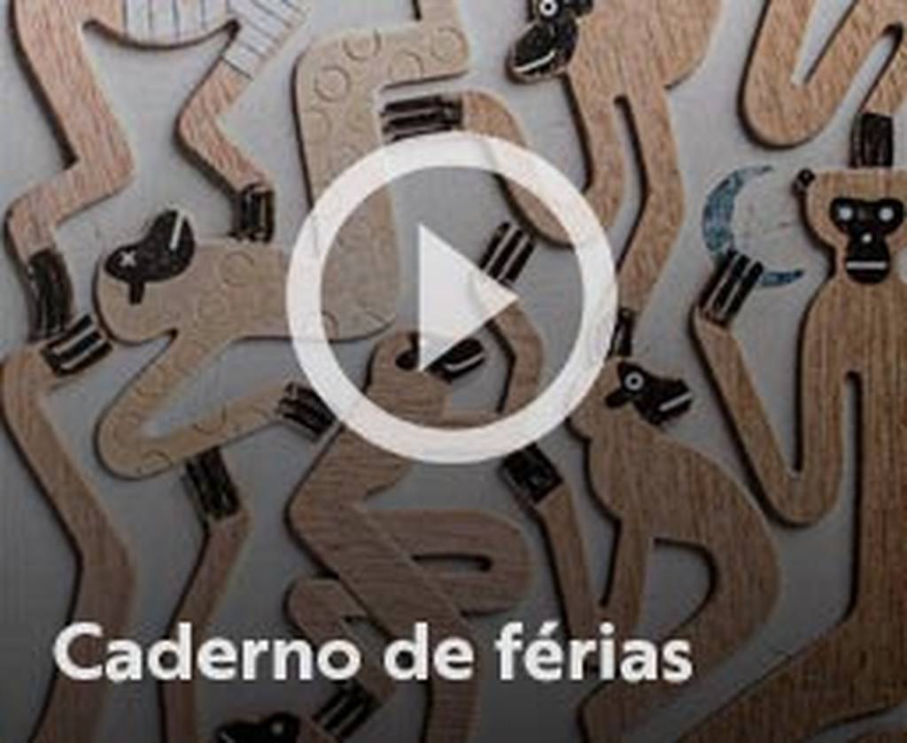 Assista o web story do livro Caderno de férias