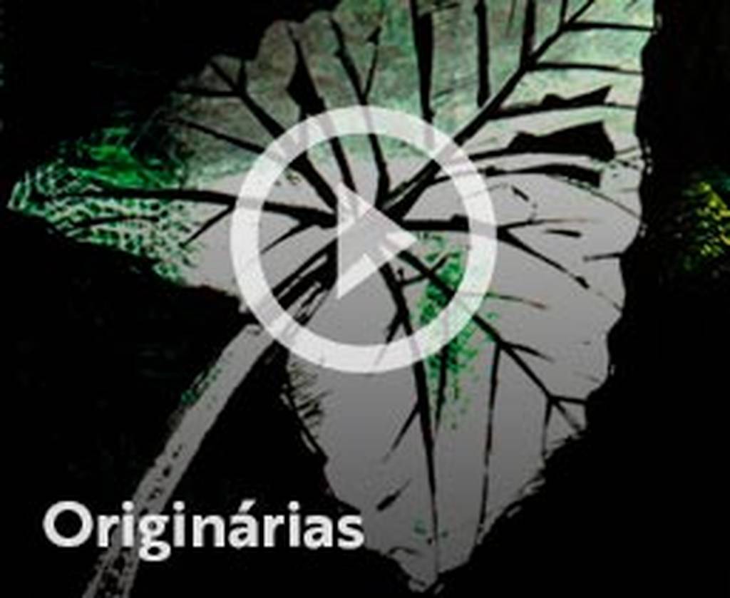 Assista o web story do livro Originárias: Uma antologia feminina de literatura indígena