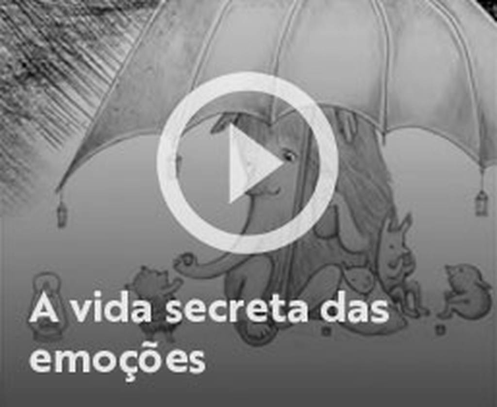 Assista o web story do livro A vida secreta das emoções