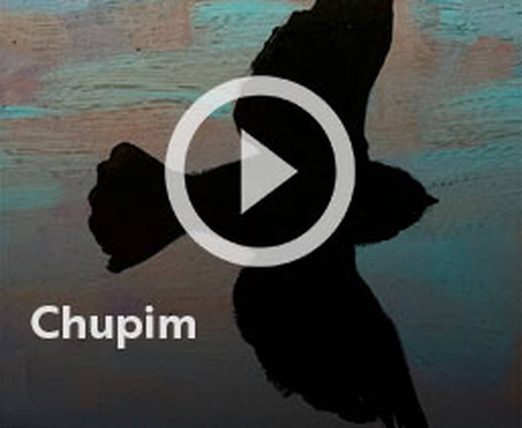 Assista o web story do livro Chupim