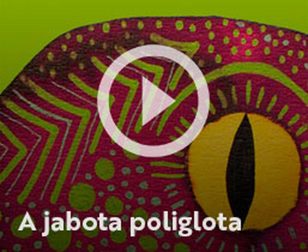 Assista o web story do livro A jabota poliglota