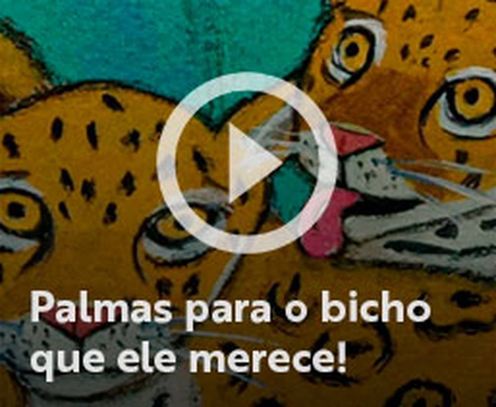 Assista o web story do livro Palmas para o bicho que ele merece!