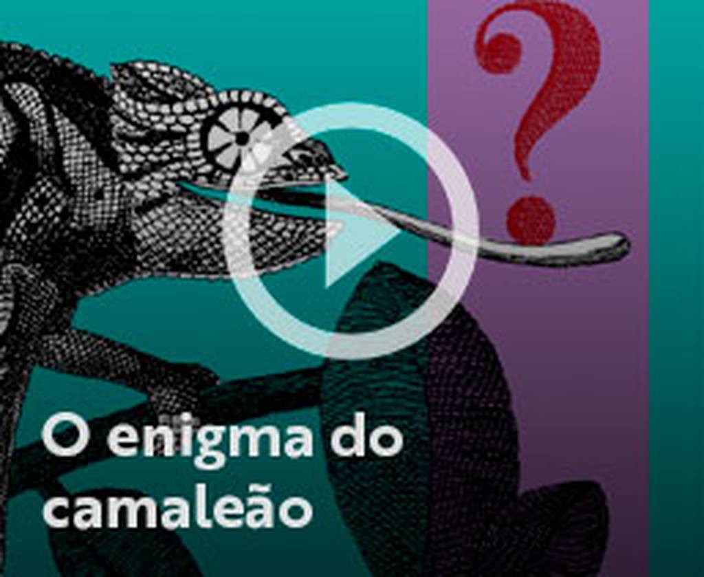 Assista o web story do livro O enigma do camaleão